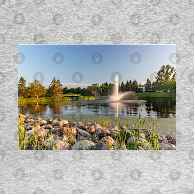 A Fountain at Mirror Lake by saku1997